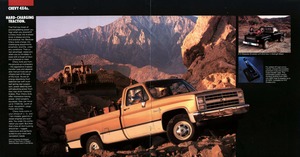 1985 Chevrolet Full-Size Pickups-08-09.jpg